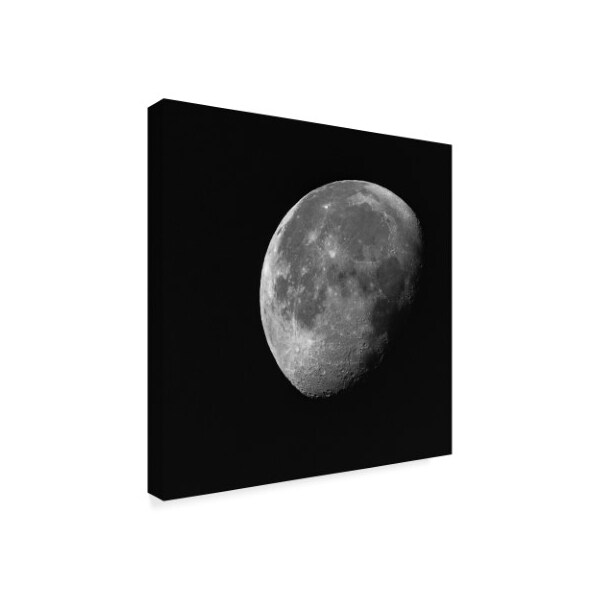 Brenda Petrella Photography Llc 'Near Side Of The Moon' Canvas Art,35x35